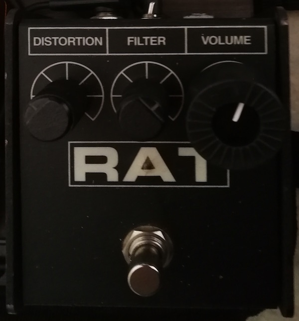 rat